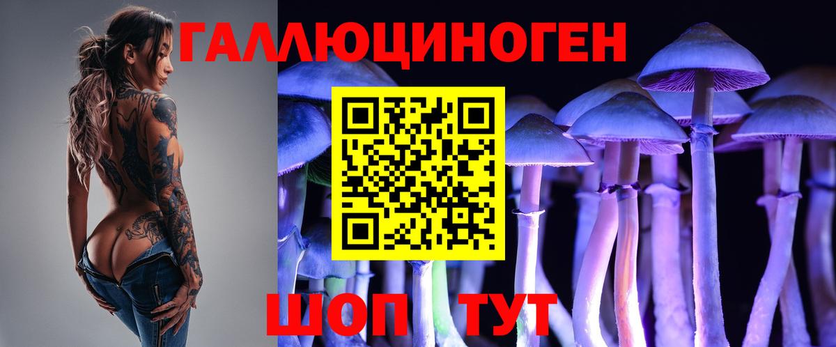 Псилоцибиновые грибы GOLDEN TEACHER  Псилоцибиновые грибы Cubensis  Вход с VPN  Кинешма 